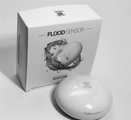 ../../../_images/fibaro_flood_sensor.jpg